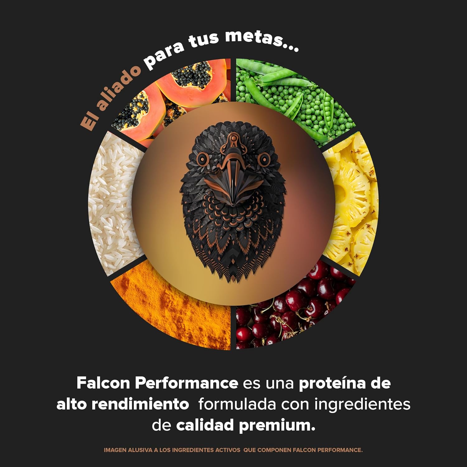BIRDMAN Falcon Performance Premium Sport Protein Powder with Creatine - 31g Protein, 5g Creatine, Chocolate Flavor - 1.9Kg - Non-Inflammatory, Acne-Free Formula - Espot.com.au