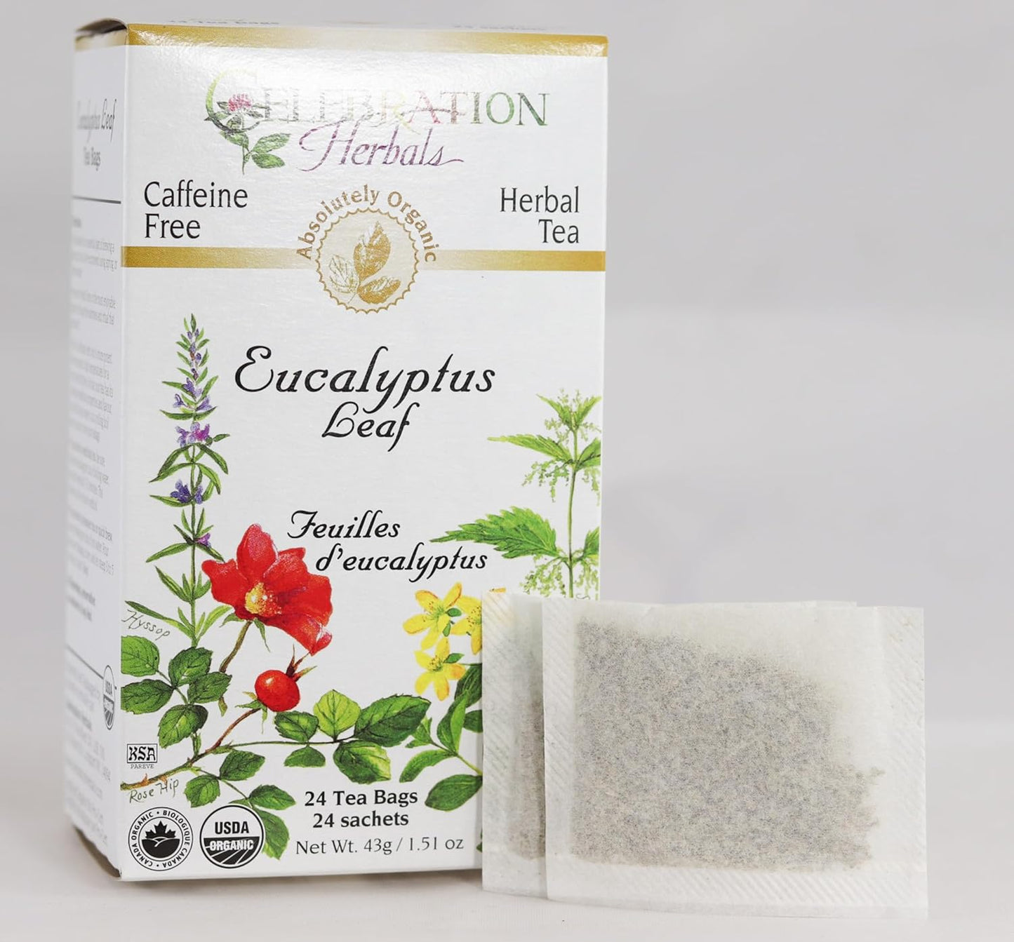 organic-eucalyptus-leaf-tea-bags-by-celebration-herbals---24-count-002-lb-2