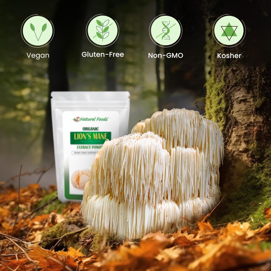 organic-lions-mane-mushroom-extract-powder---vitamin-rich-superfood-for-tea-and-smoothies---non-gmo-vegan-gluten-free---1-lb-5