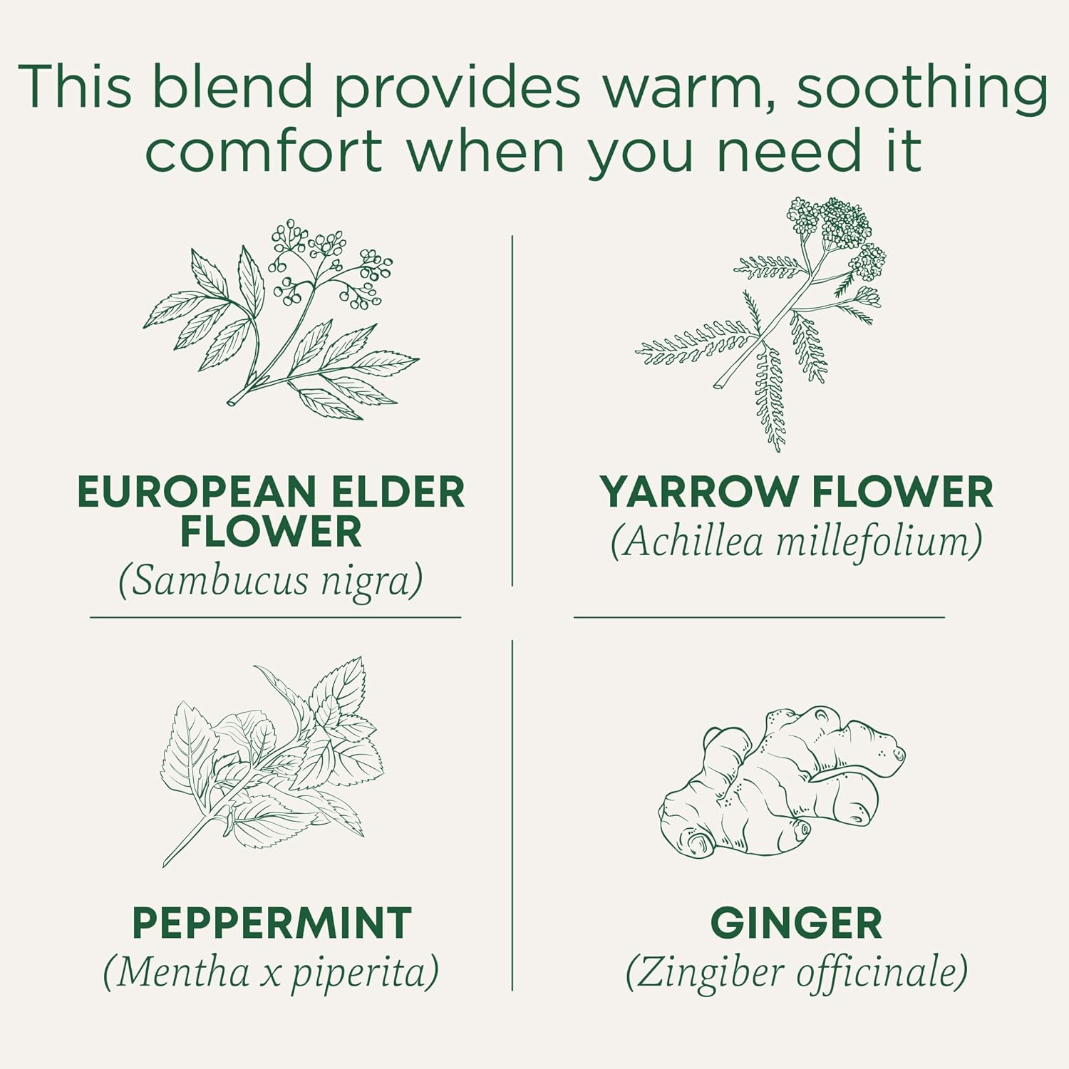 traditional-medicinals-elderflower-spice-herbal-cold-care-tea---16-tea-bags-for-seasonal-wellness-2