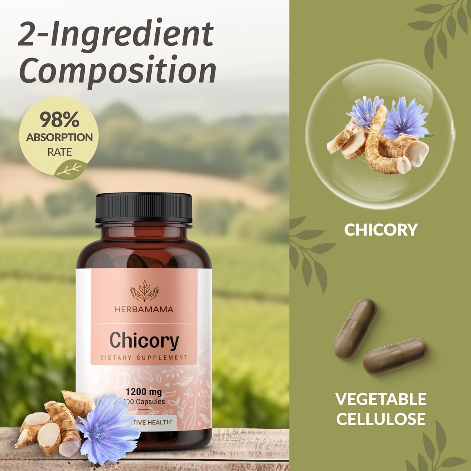 inulin-and-chicory-root-capsule-bundle---1200mg-fiber-1200mg-capsules---vegan-non-gmo---2-pack---herbamama-7