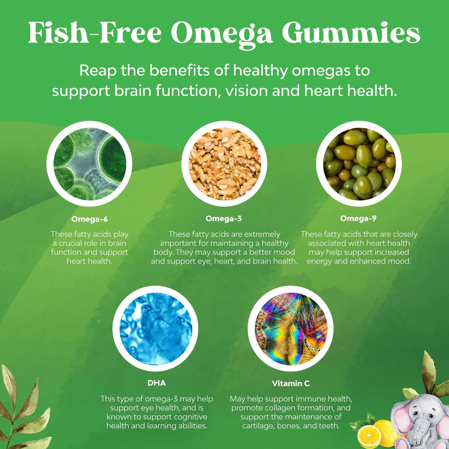 Kids Bundle: Vitamin D3 Gummies + Plant Based Omega 3 Gummies for Bone Strength, Heart Health, and Immune System Support - Vision & Immunity Boost - Espot.com.au