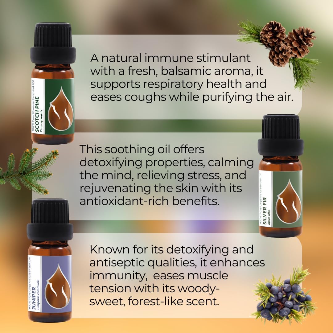forest-magic-organic-essential-oils-set---scotch-pine-juniper-silver-fir---100-pure-natural---therapeutic-grade---non-gmo---family-owned-farm---3x-034-fl-oz-6