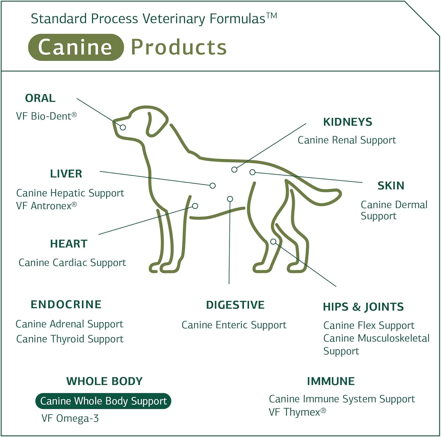 standard-process-canine-whole-body-support-powder---100g-multisystem-supplement-for-daily-health-maintenance-5