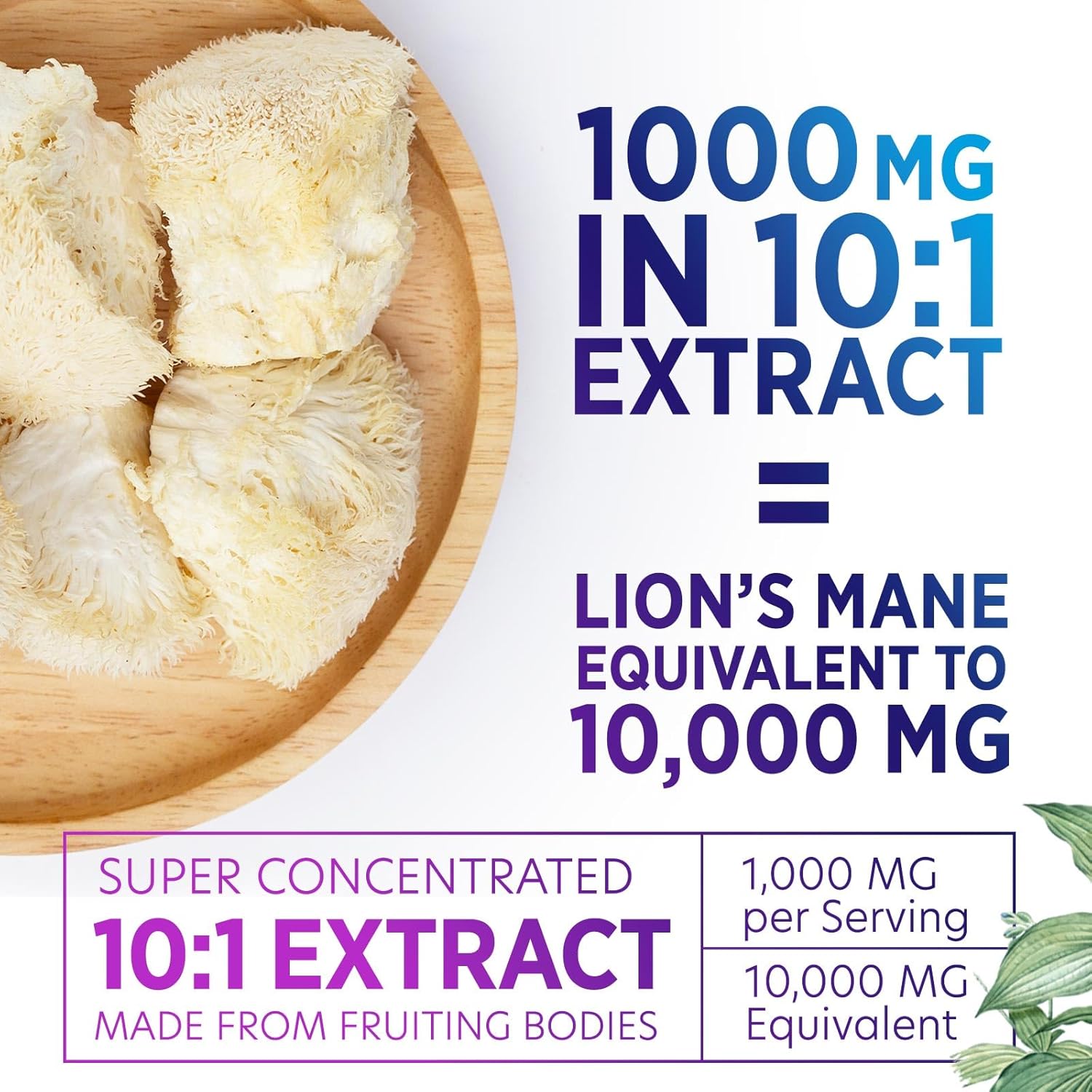 Lion's Mane Mushroom Supplement for Brain Support - Focus, Memory, Cognition & Immune Boost - Nootropic Extract - Non-GMO, Vegetarian - 120 Caps - Espot.com.au