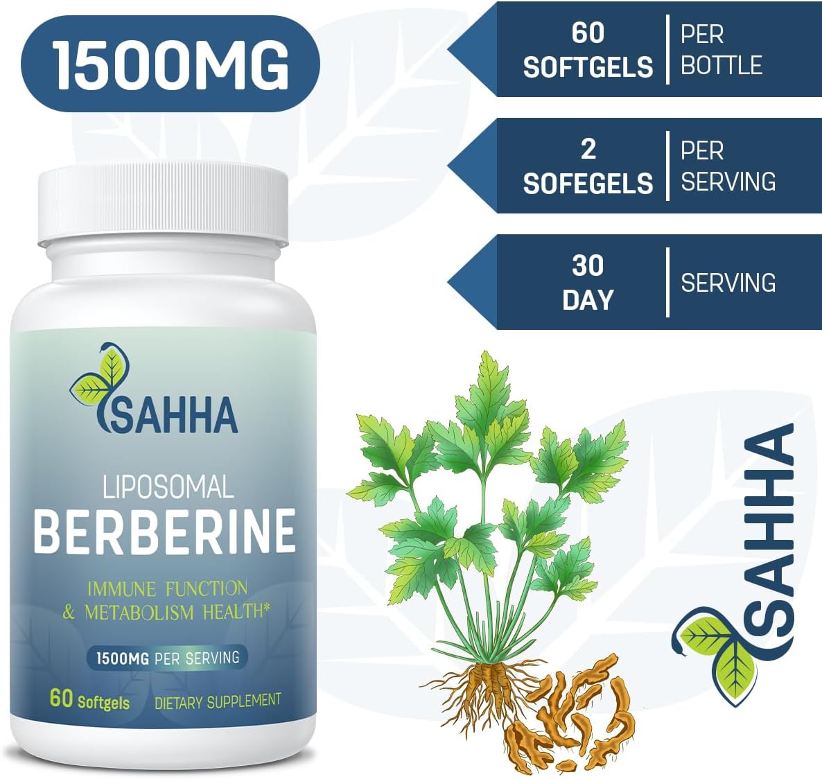 High Absorption Berberine HCL Supplement 1500mg - Liposomal Capsules for Immune & Metabolism Support - AMPK Activator - 120 Softgels - Espot.com.au
