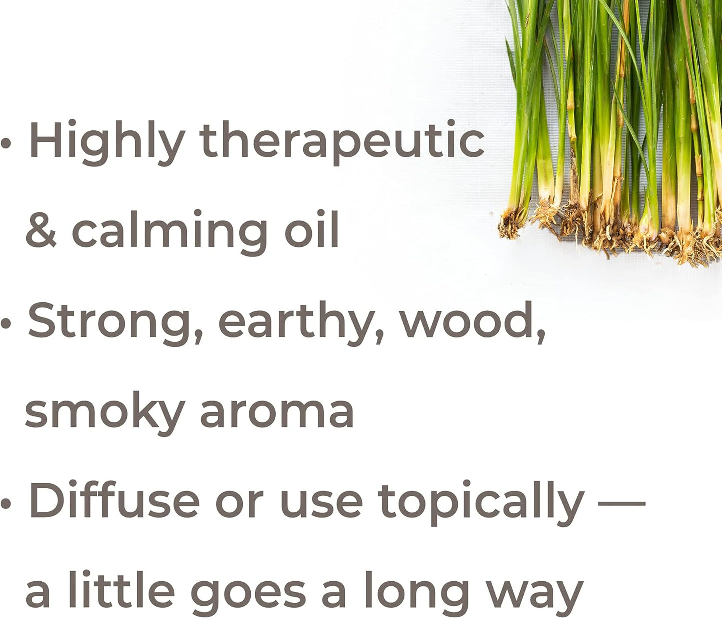 organic-vetiver-essential-oil-5-ml---pure-undiluted-therapeutic-grade---plant-therapy-2