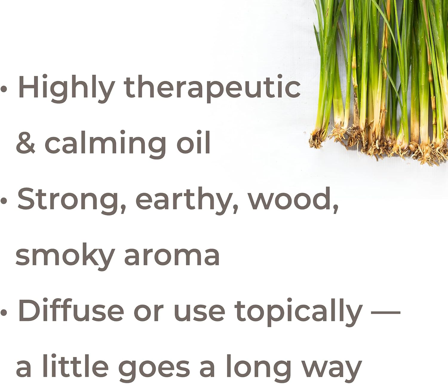 organic-vetiver-essential-oil-5-ml---pure-undiluted-therapeutic-grade---plant-therapy-2