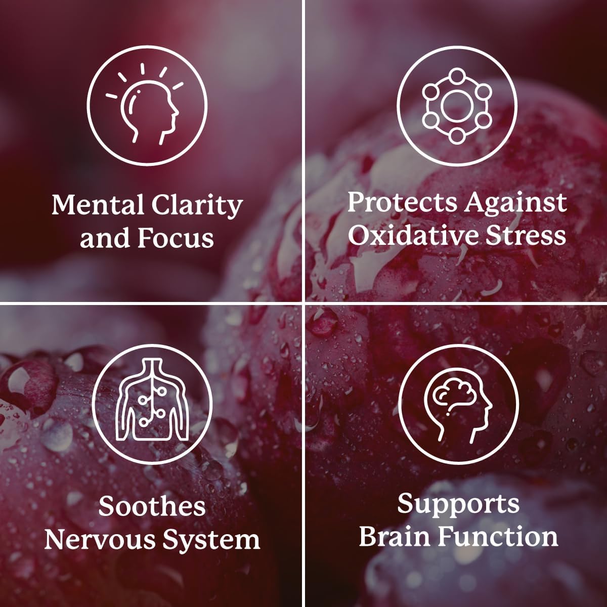 natural-brain-support-supplement-with-90-capsules---promotes-healthy-brain-stimulation-blood-circulation-and-neurotransmitter-levels-3