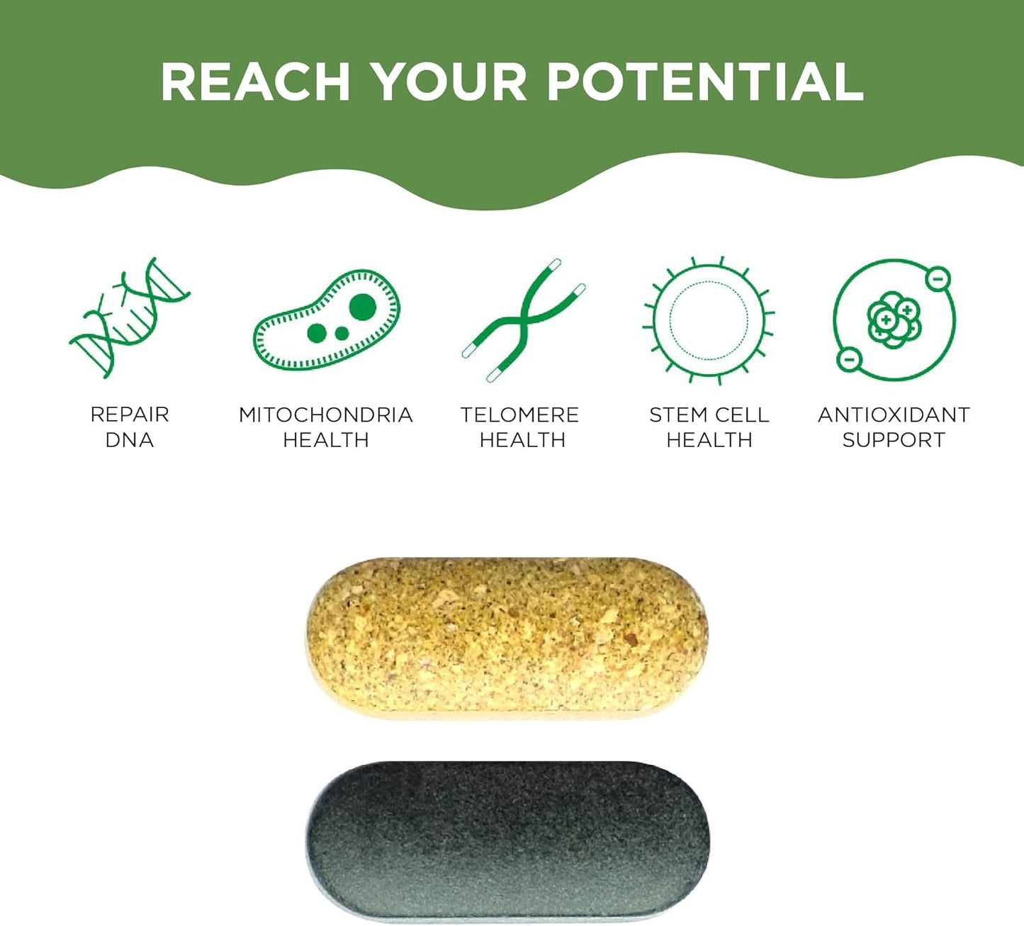 natural-antiaging-supplements-bundle-for-men-and-women-supports-cell-health-dna-repair-energy-and-sleep-healthycell-am-pm-ac-11-3