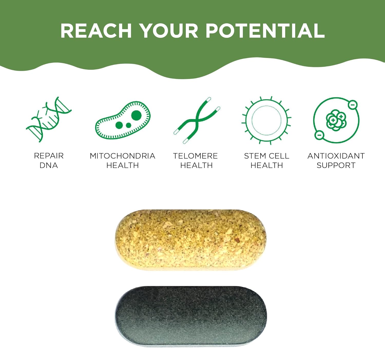 natural-antiaging-supplements-bundle-for-men-and-women-supports-cell-health-dna-repair-energy-and-sleep-healthycell-am-pm-ac-11-3