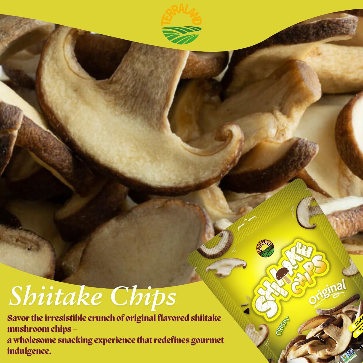 terraland-shiitake-chips---original-crispy-mushroom-snack-gluten-free-vegan-superfood-with-rich-umami-flavor---212oz-bag-pack-of-2-3