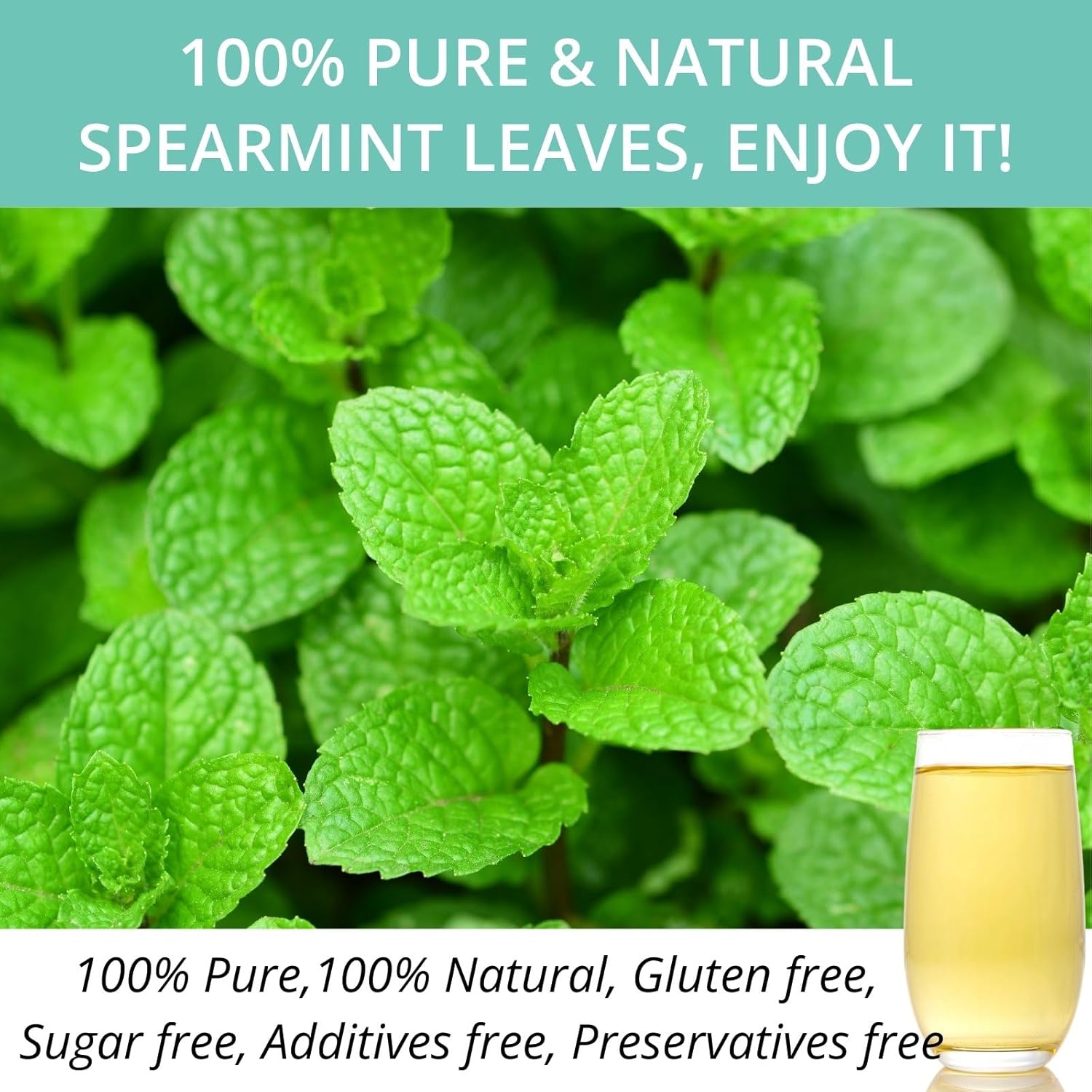 vitalforest-premium-dried-spearmint-leaves-tea-bags---60-count-canister-pack---refreshing-minty-herbal-tea---caffeine-free---corn-fiber-bags-for-freshness-7
