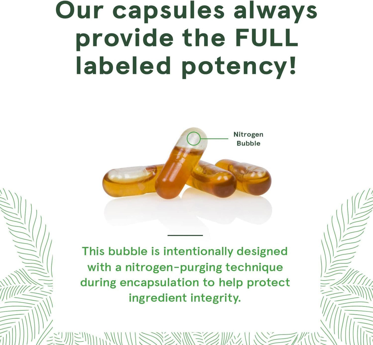 vegan-omega-3-dha-epa-capsules-from-micro-algae---delayed-release-formula---180-vegan-capsules-in-total-6