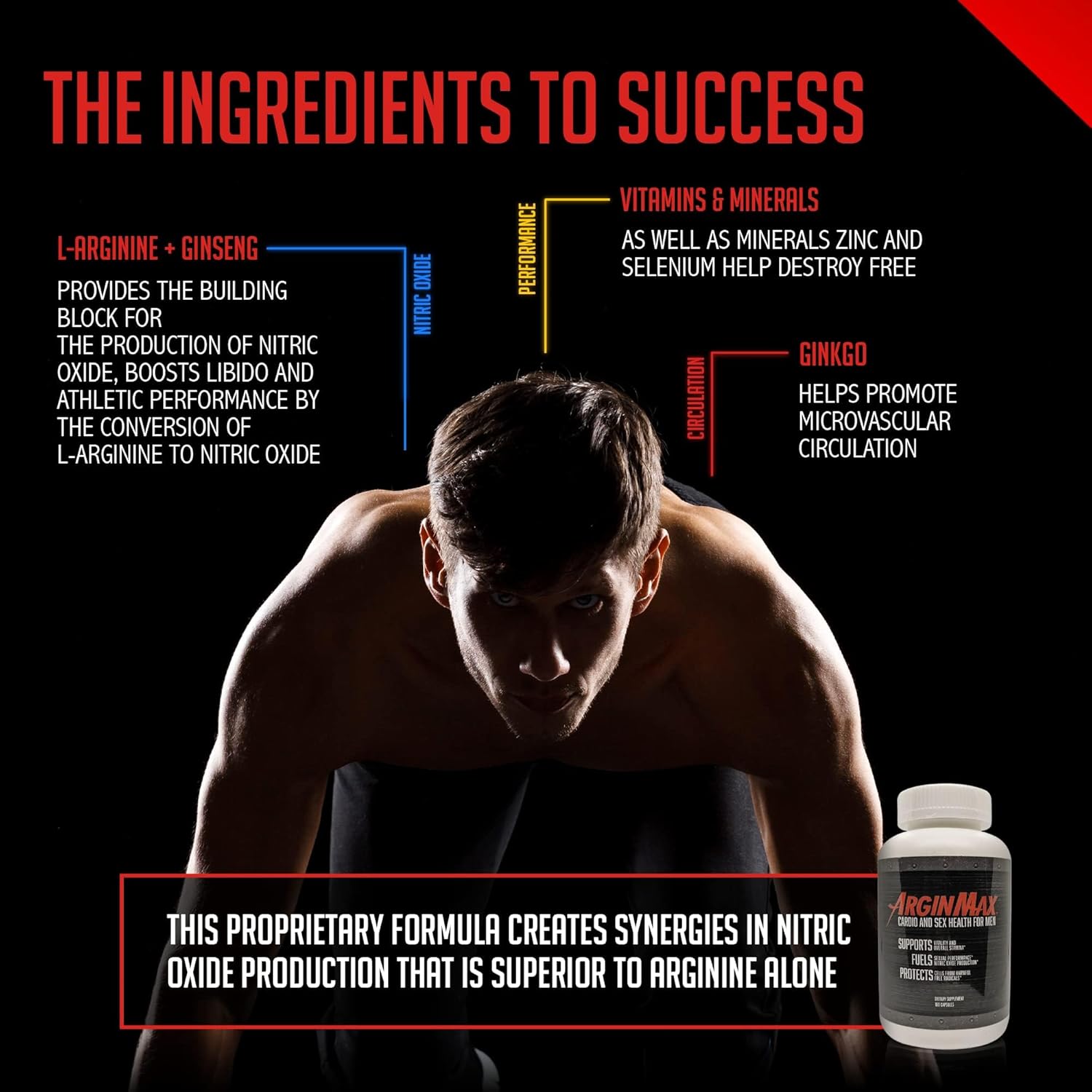 arginmax-l-arginine-nitric-oxide-supplement-for-men---ginseng-infused-nitric-oxide-booster---supports-oxygen-blood-flow---180-capsules-6