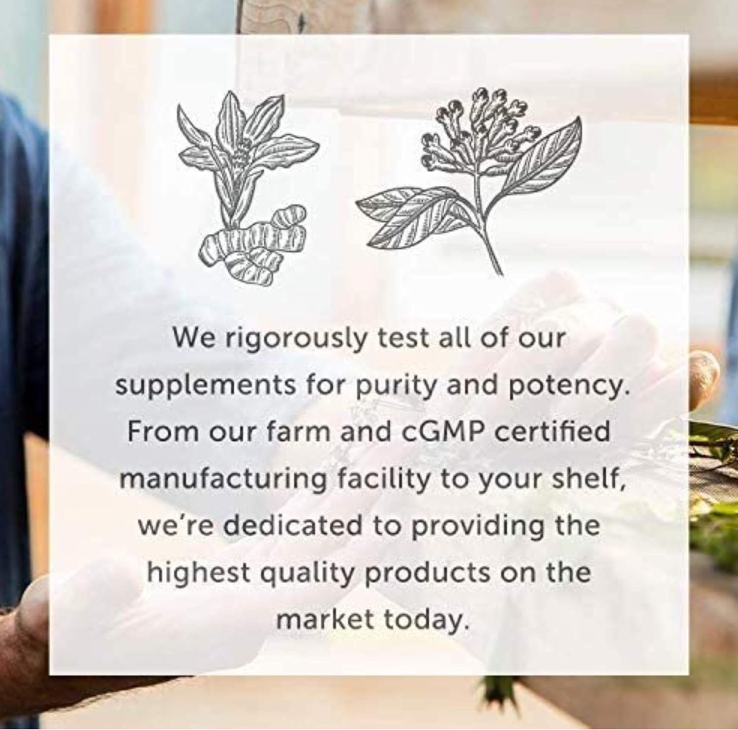 global-healing-foreign-protein-cleanse---spike-protein-detox-support-formula-with-nattokinase-and-wormwood---immune-support-detox---2-fl-oz-4