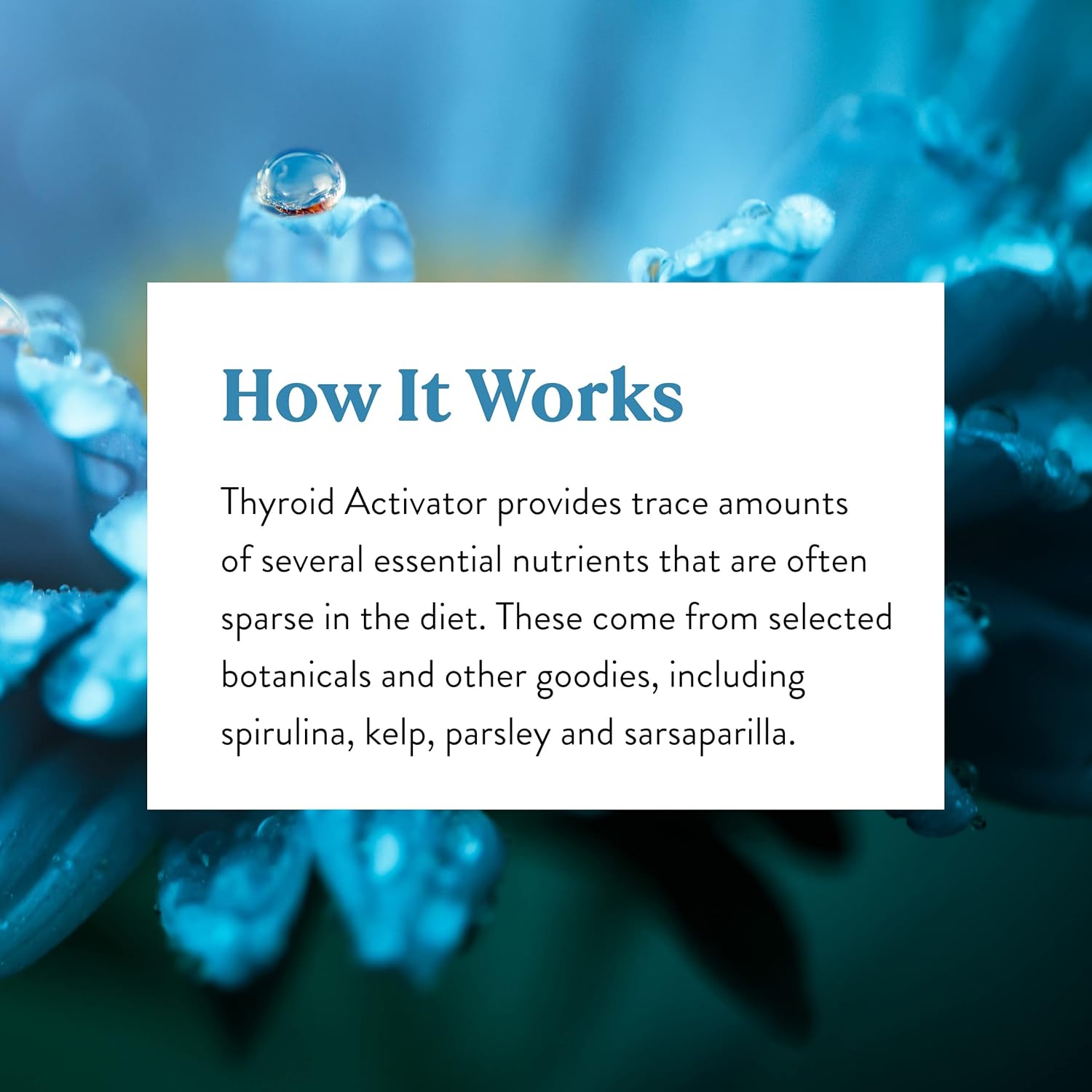 100-capsules-of-natures-sunshine-thyroid-activator-supplement---supports-thyroid-function-and-energy-levels-6