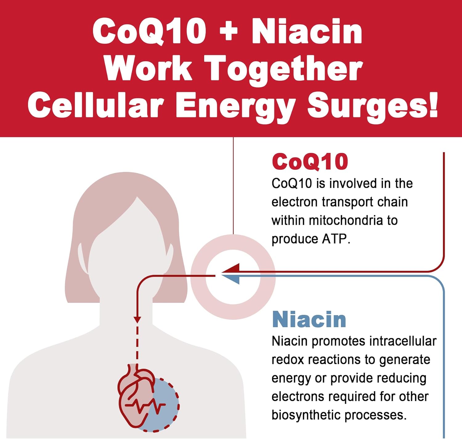 high-absorption-lilicare-sugar-free-coq10-gummies-with-magnesium-glycinate-niacin-vitamin-b3-e-folic-acid---250mg-coenzyme-q10-for-heart-health-cellular-energy-antioxidant-support-5