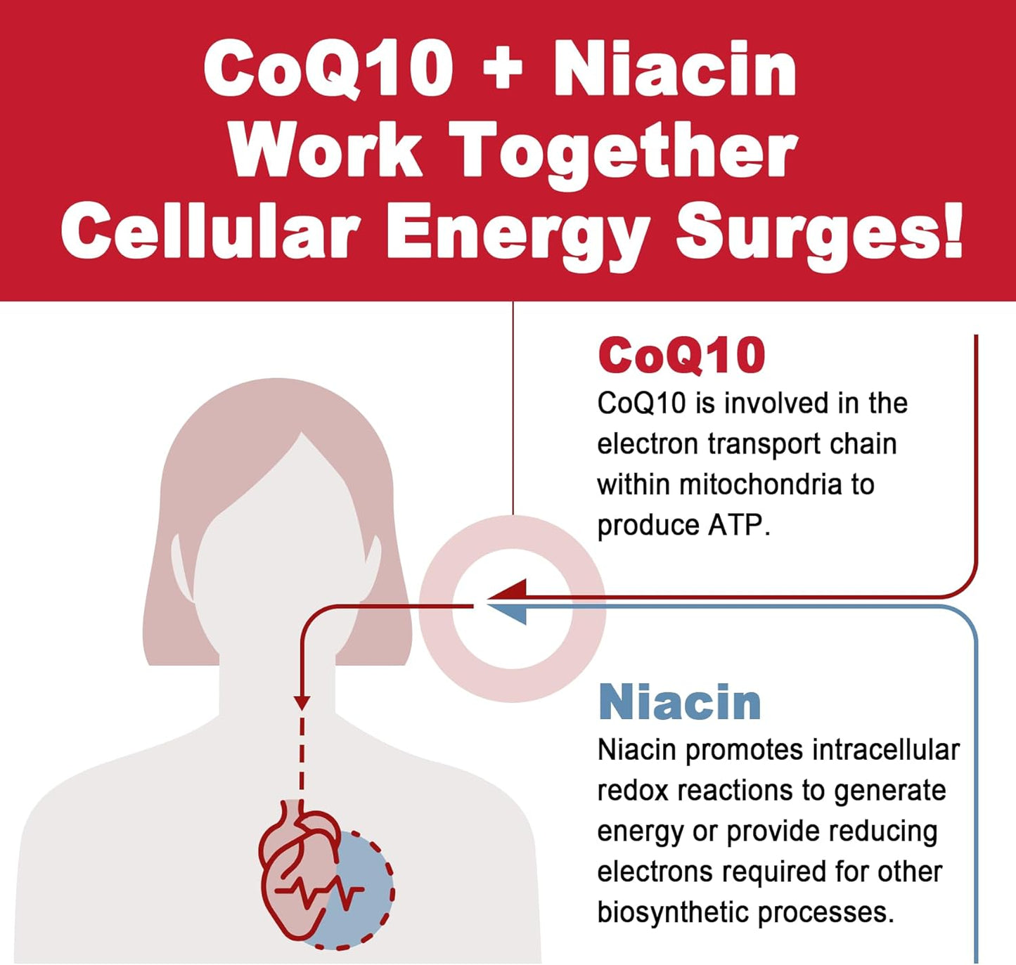 sugar-free-coq10-gummies-with-magnesium-glycinate-niacin-vitamin-e-folic-acid-250mg---high-absorption-ubiquinone-for-cellular-energy-antioxidant-support-120-count-5