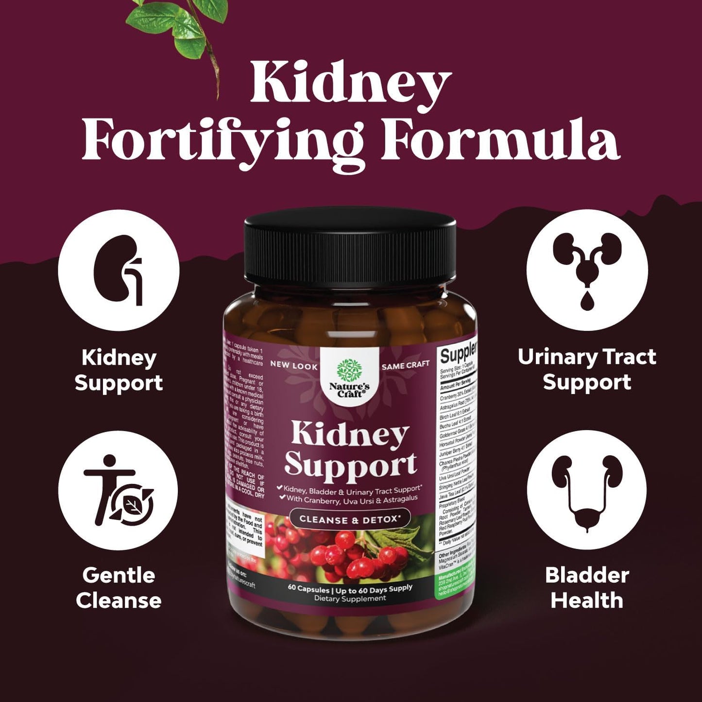 high-strength-kidney-cleanse-supplement-with-cranberry-extract-uva-ursi-nettle-java-tea---urinary-tract-health-bladder-support---60-capsules-3