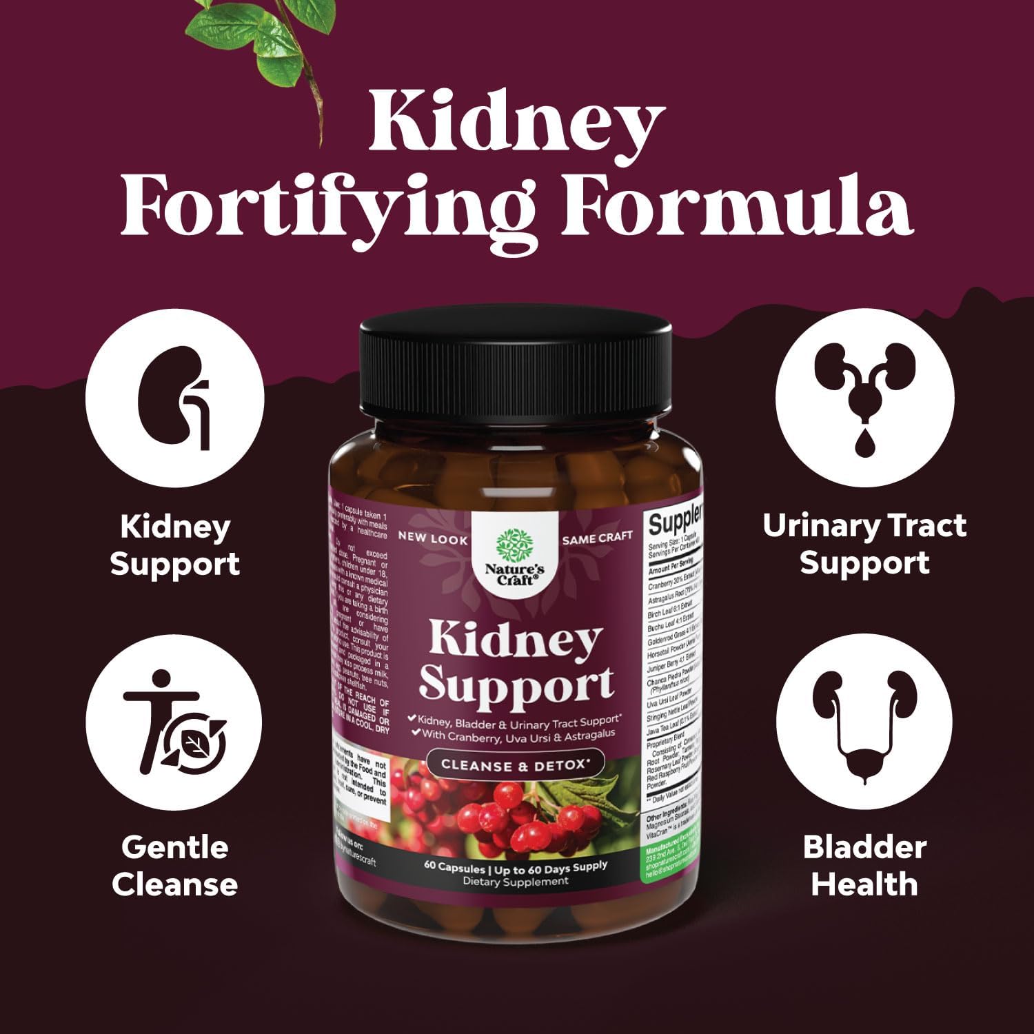 high-strength-kidney-cleanse-supplement-with-cranberry-extract-uva-ursi-nettle-java-tea---urinary-tract-health-bladder-support---60-capsules-3