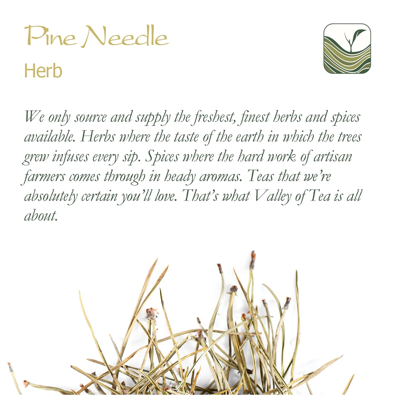 premium-pine-needle-tea---valley-of-tea-pine-sprigs---suramin-dried-herb-tea---pine-tree-quality-needle-tea-6