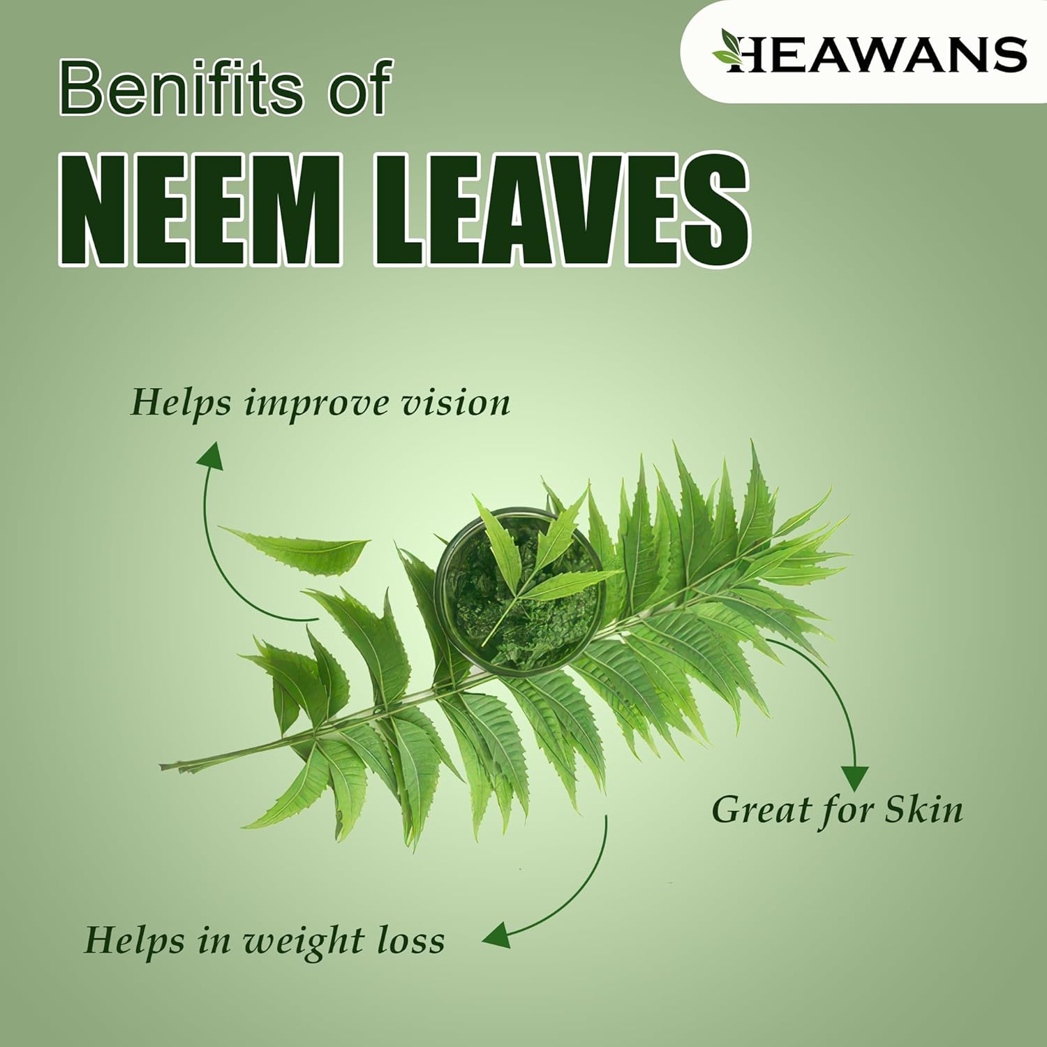 organic-neem-leaves-whole---07-oz---heawans-naturally-grown-dried-leaves-3