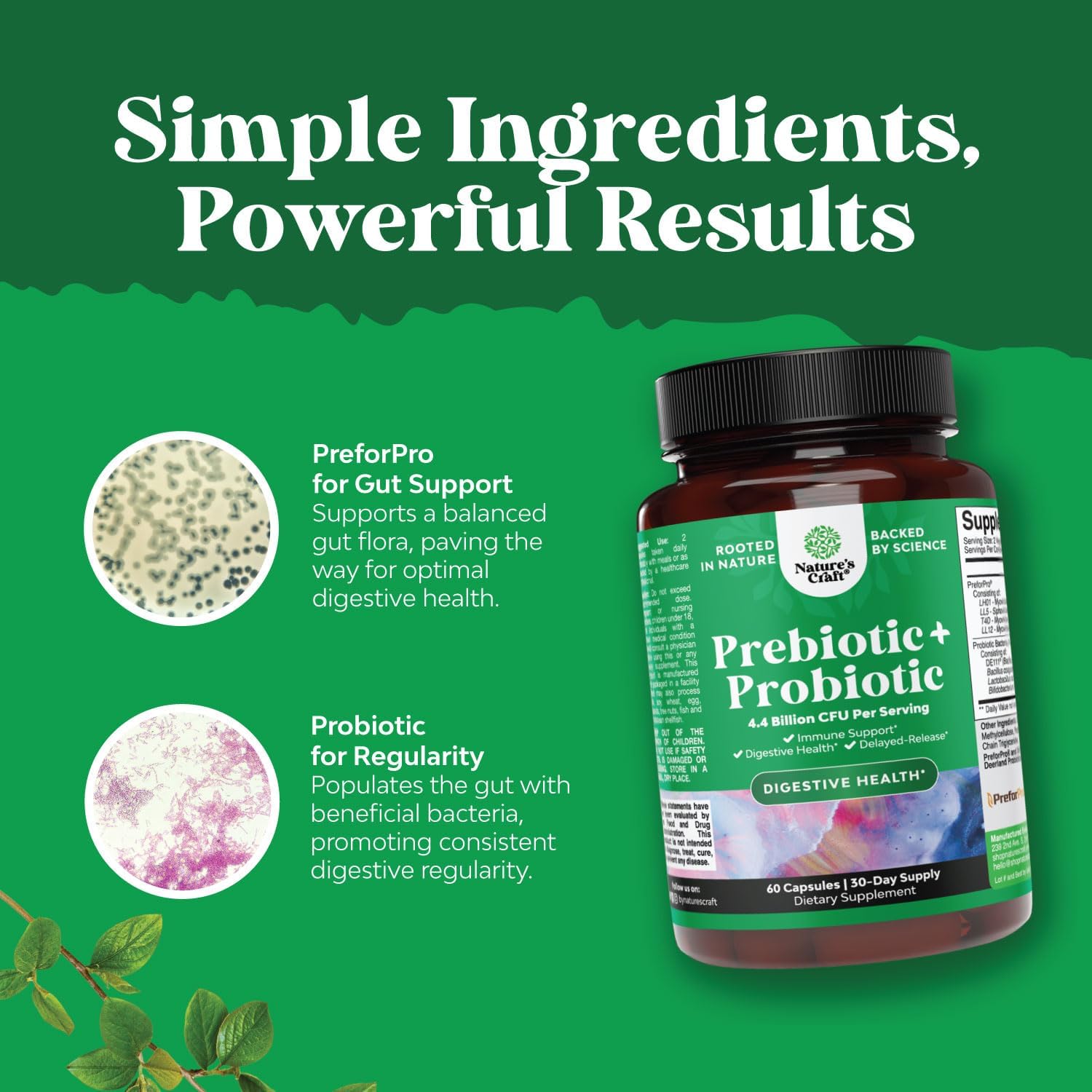 super-potent-probiotic-and-prebiotic-supplement-for-gut-health---men-and-womens-digestive-support-and-immunity-boost---natures-craft-4