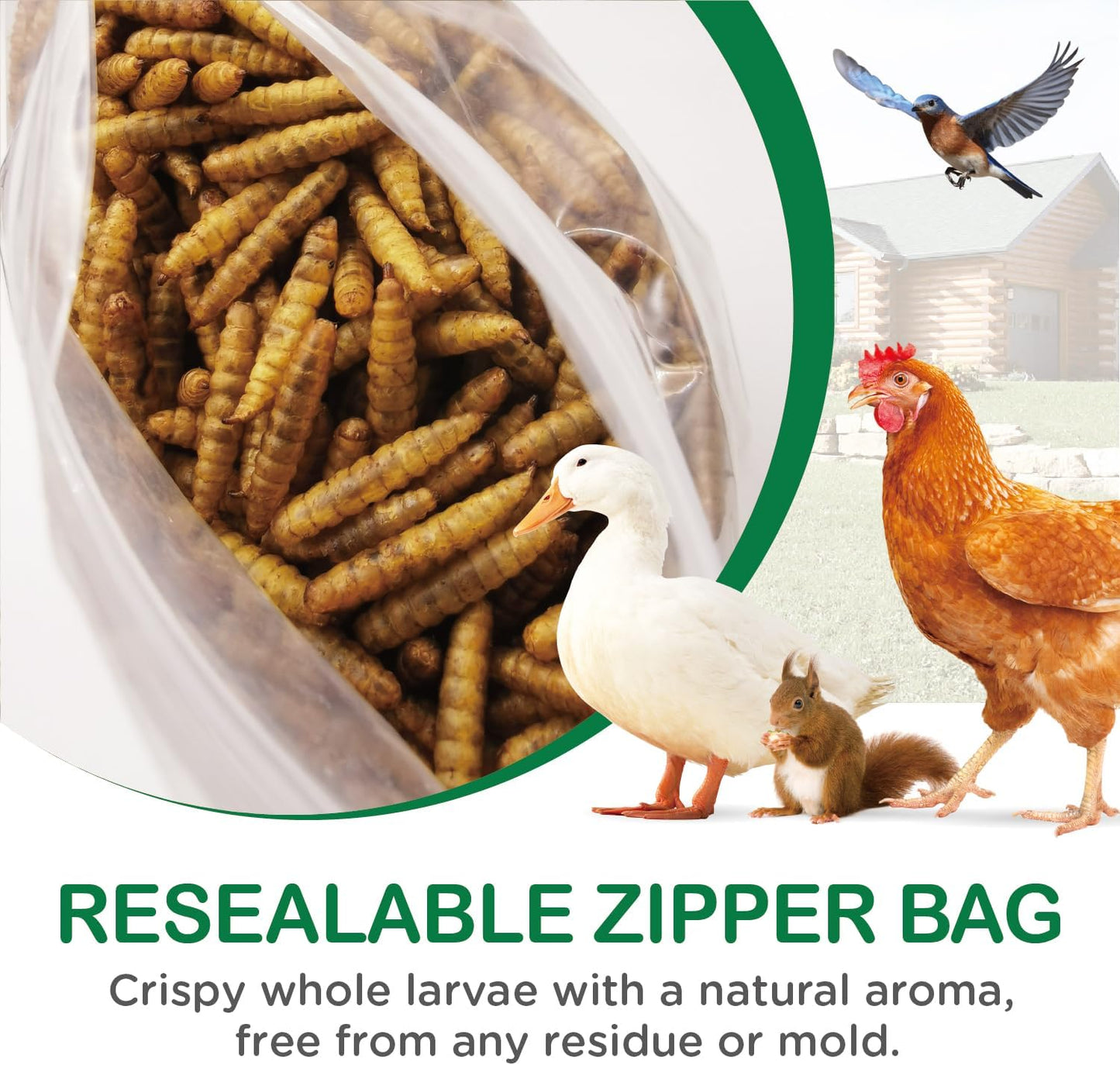 5-lbs-auciccoo-ecoproento-dried-black-soldier-fly-larvae---high-calcium-treats-for-chicken-duck-wild-bird-turtle---non-gmo-bsf-larvae---natural-snack-with-85x-more-calcium-than-mealworms-3