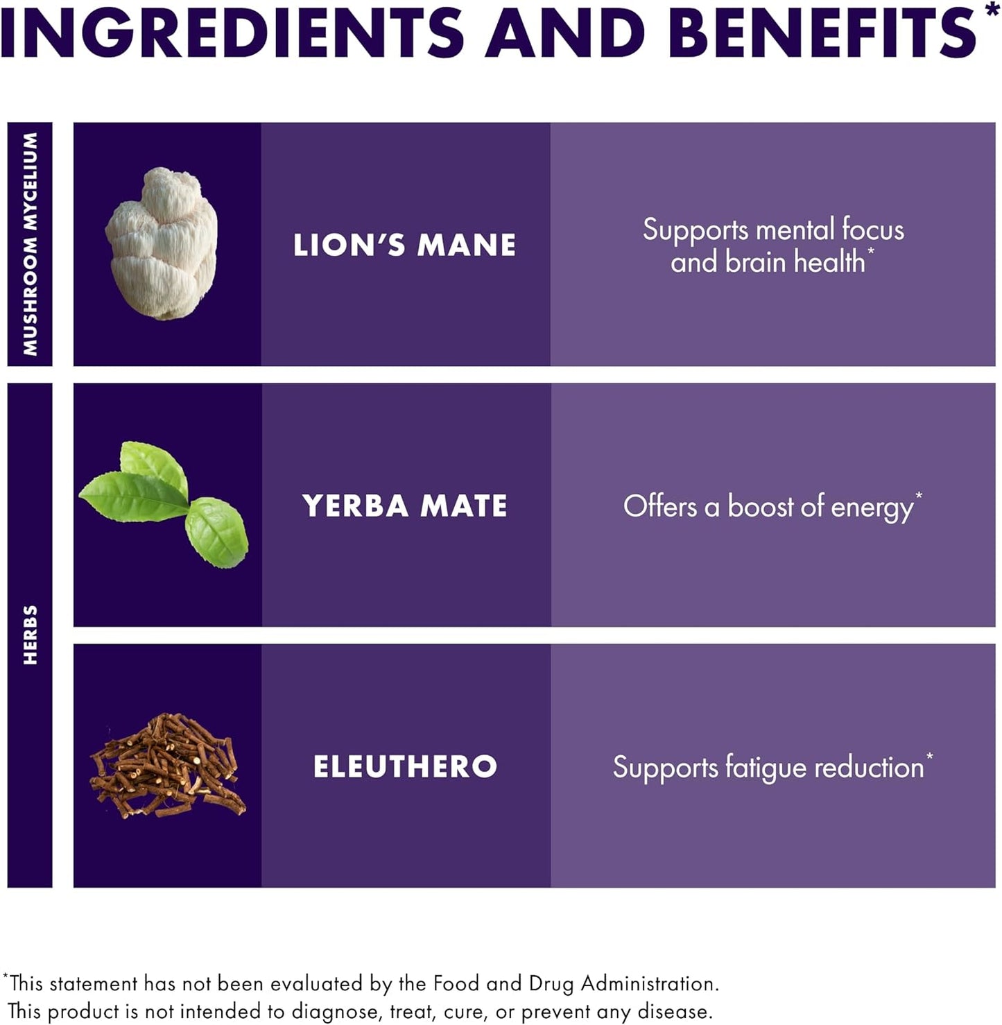 host-defense-mycobotanicals-brain-energy-powder---lions-mane-mushroom-supplement-for-brain-focus-support---yerba-mate-energy-boost---35-oz-33-servings-4