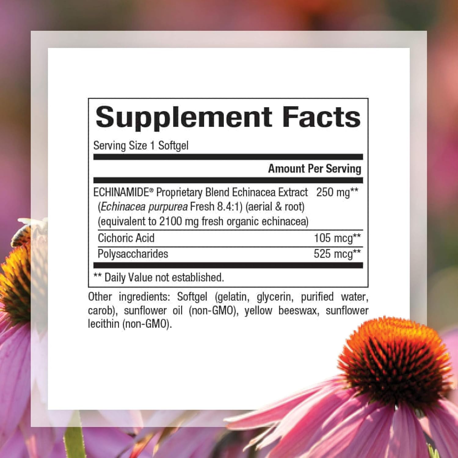 echinamide-echinacea-supplement-60-softgels-for-immune-wellness-support-by-natural-factors-2
