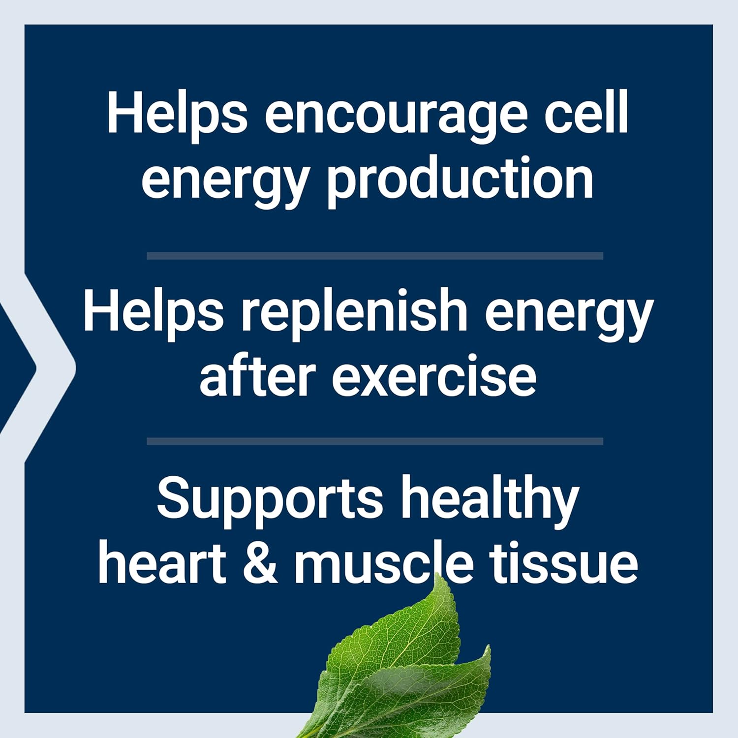 vegan-d-ribose-tablets-with-calcium-for-energy-support-and-atp-production---100-vegetarian-tablets-gluten-free-and-non-gmo-4