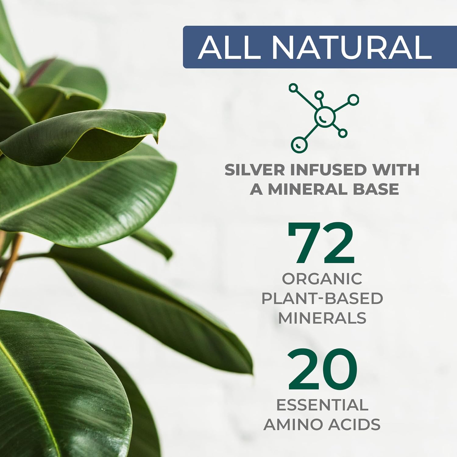 natural-liquid-colloidal-silver-50-ppm-with-organic-minerals-and-amino-acids-immune-support---16-oz-bottle-4