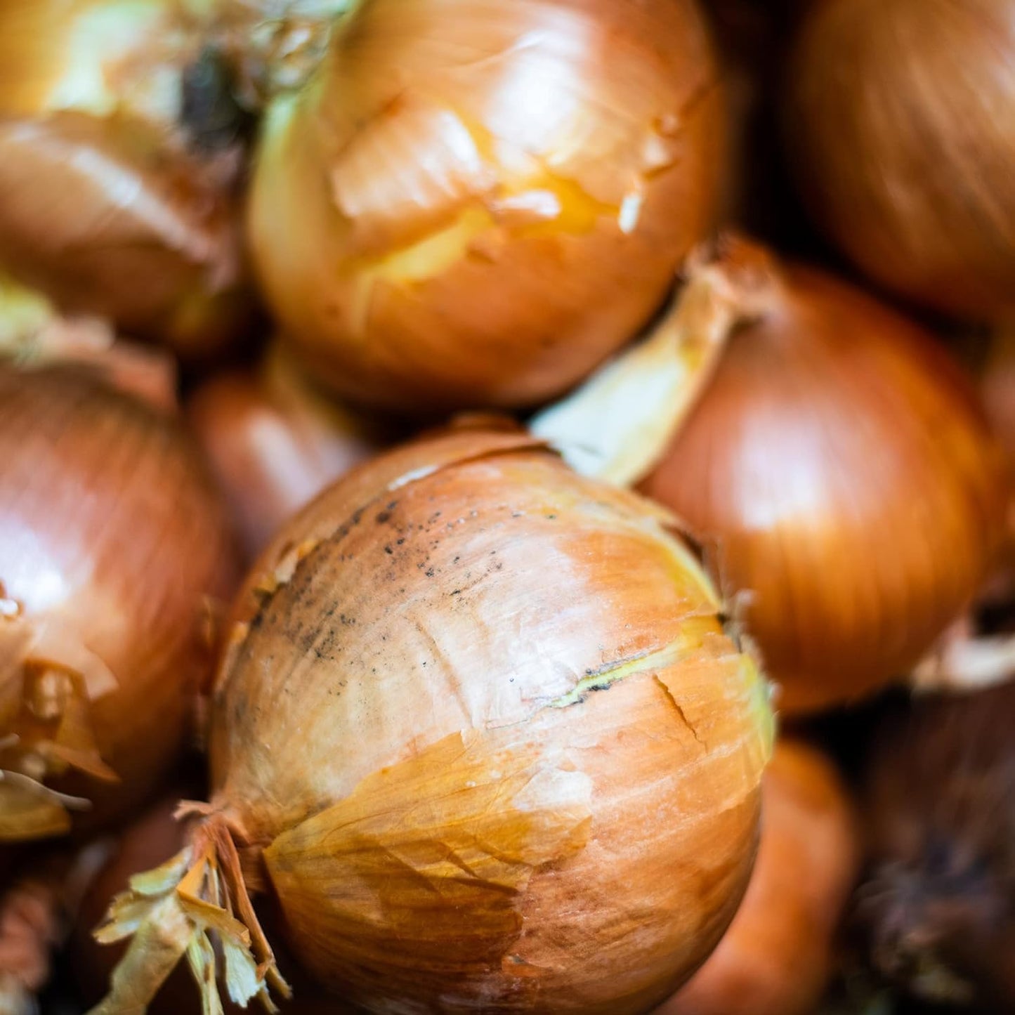 organic-chopped-onion---1-lb---dried-sweet-white-onion---kosher-sustainably-grown---frontier-co-op-3
