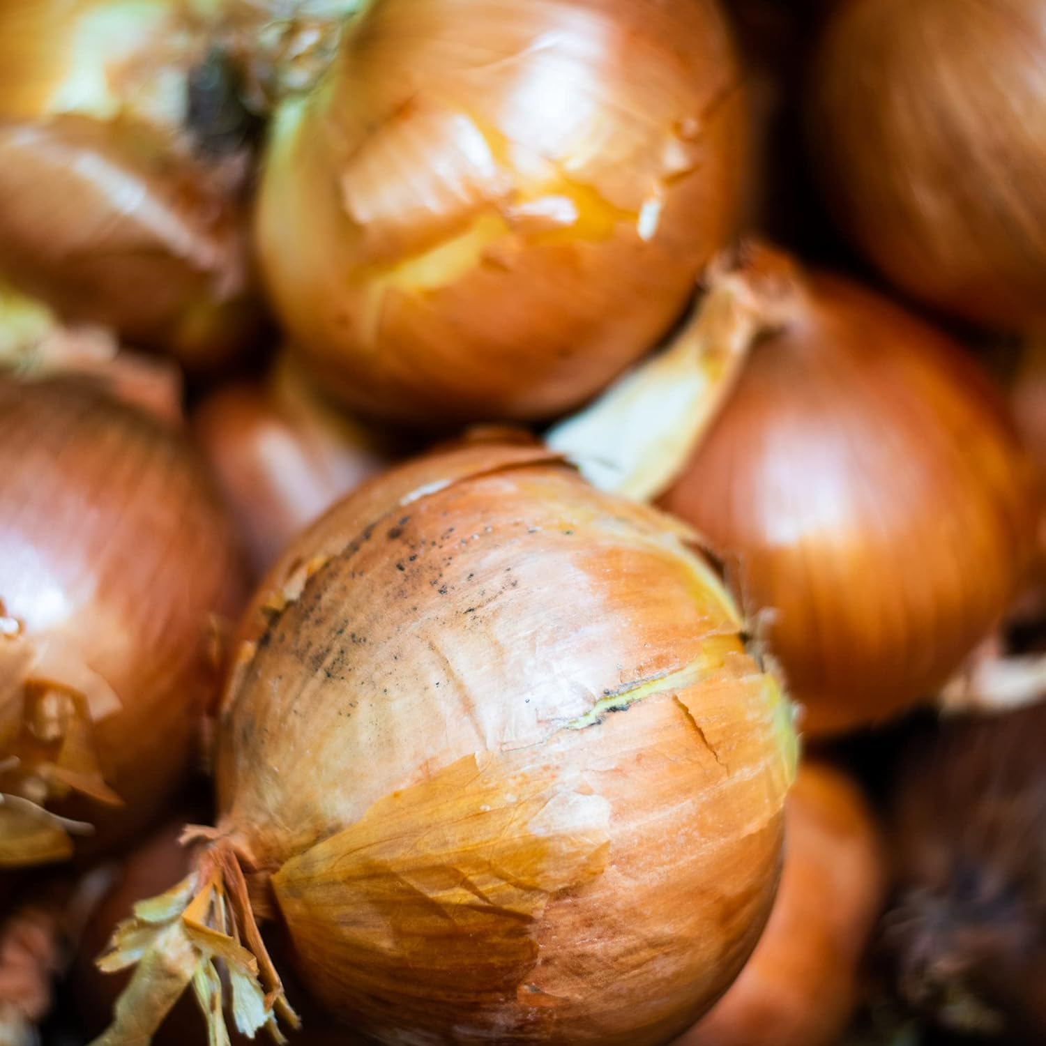 organic-chopped-onion---1-lb---dried-sweet-white-onion---kosher-sustainably-grown---frontier-co-op-3
