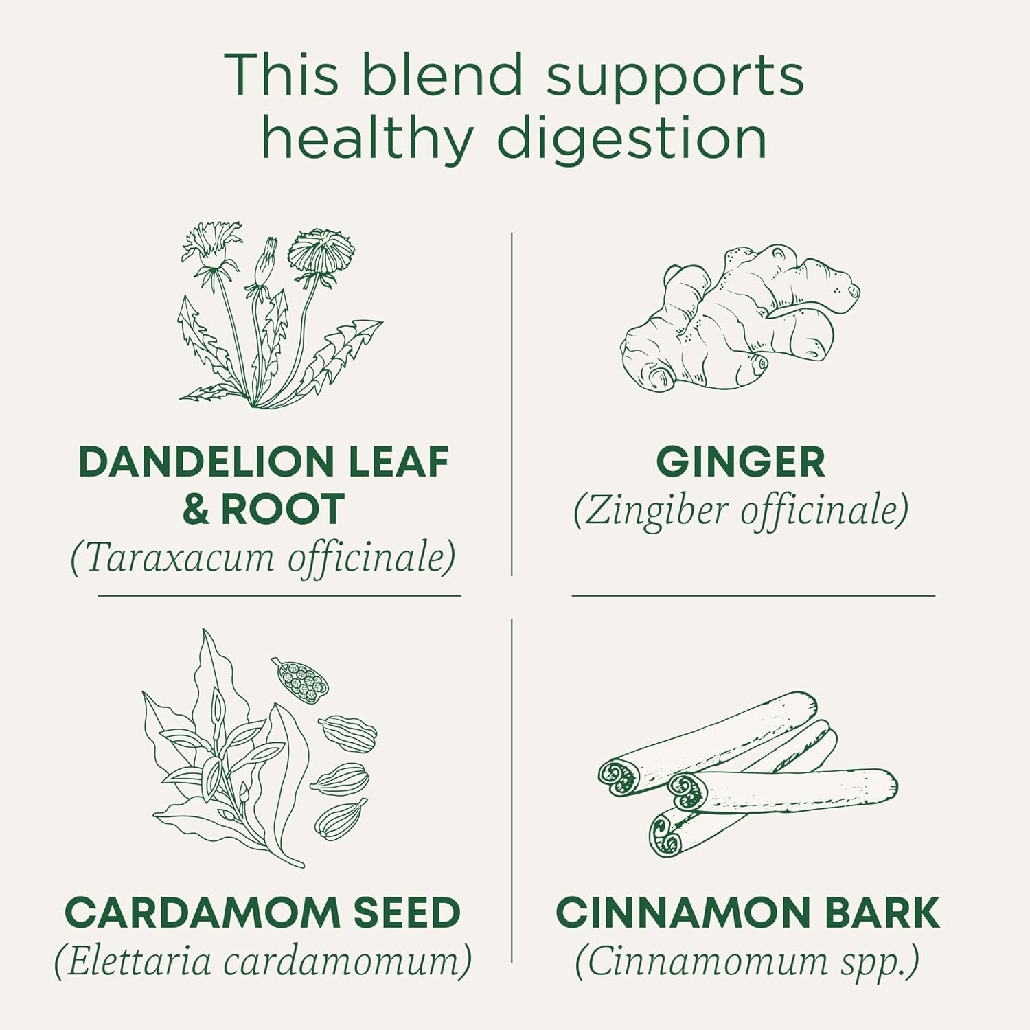 organic-dandelion-chai-probiotic-tea-by-traditional-medicinals---96-tea-bags-6-pack-for-healthy-digestion-support-4