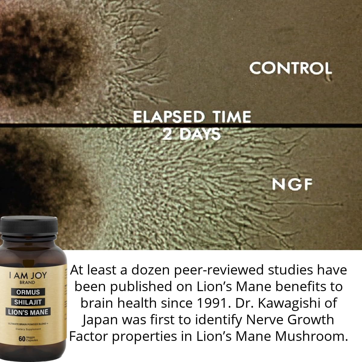 ormus-shilajit-lions-mane-capsules-with-monoatomic-24k-gold---boost-brain-power-with-unique-blend-for-energy-memory-focus---60-vegan-capsules-in-eco-friendly-glass-bottle-by-i-am-joy-co-3