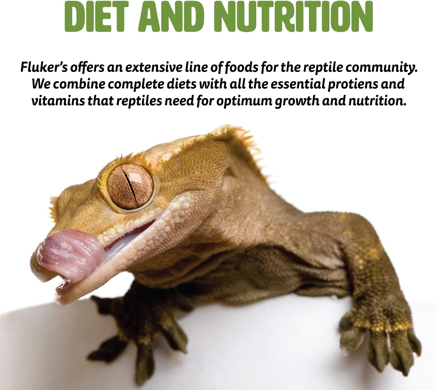flukers-crafted-cuisine-diet-for-tortoises-675-oz---real-fruits-veggies-included-3