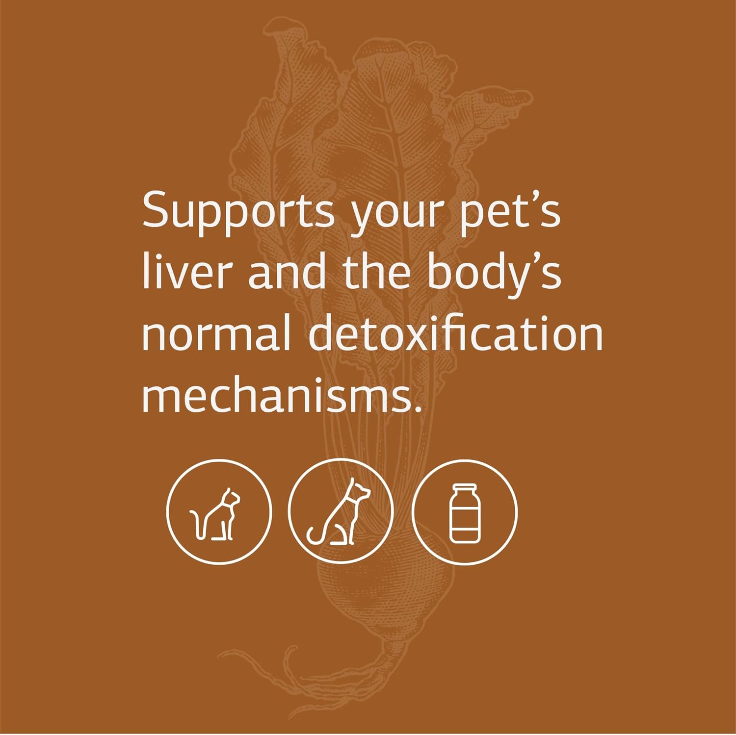 standard-process-vf-antronex-liver-support-supplement-for-pets---supports-immune-system-healthy-liver-function-in-cats-dogs---90-tablets-3