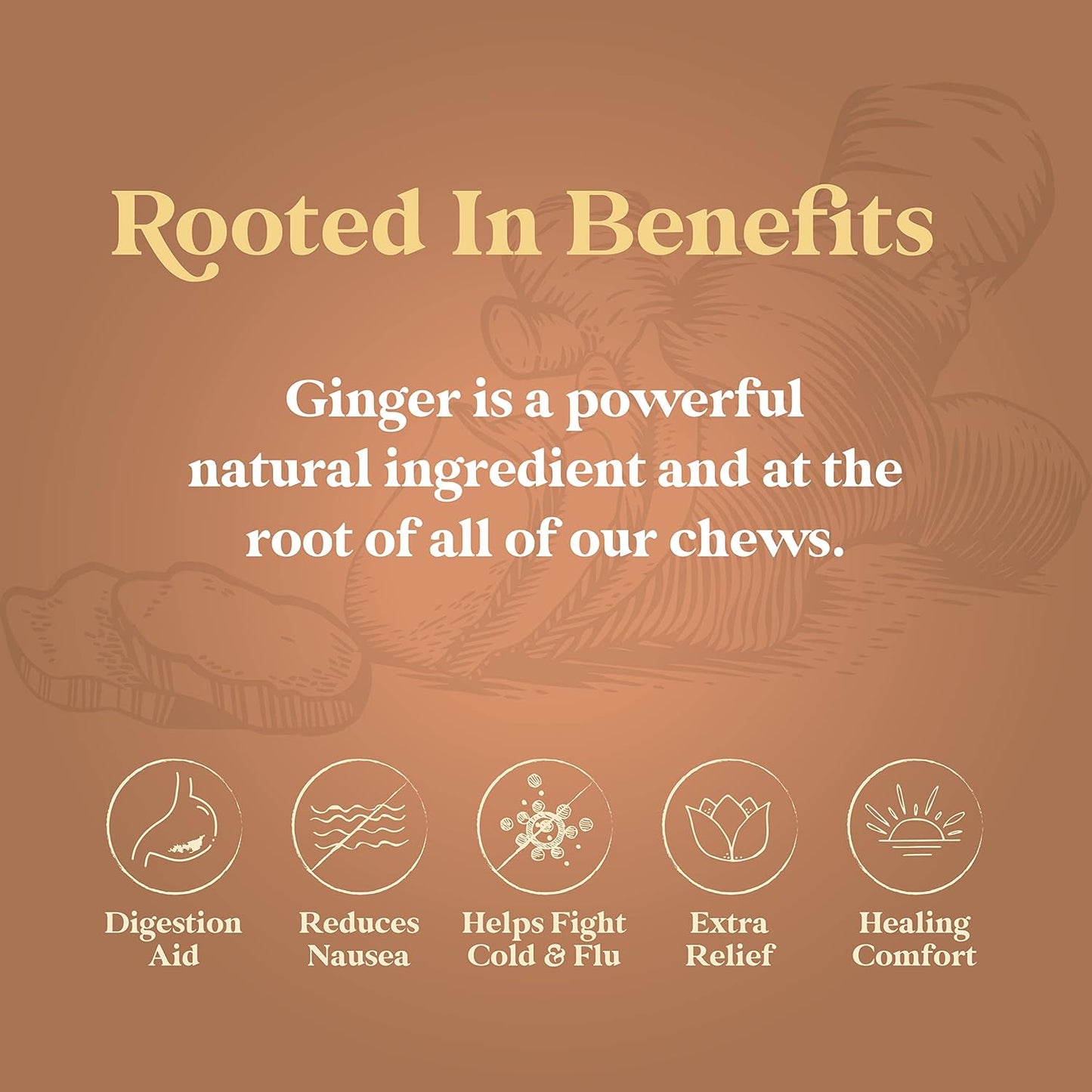 Premium Natural Chimes Peppermint Ginger Chews - 1 lb Bag (16 oz) Individually Wrapped Chewy Ginger Candy - Espot.com.au