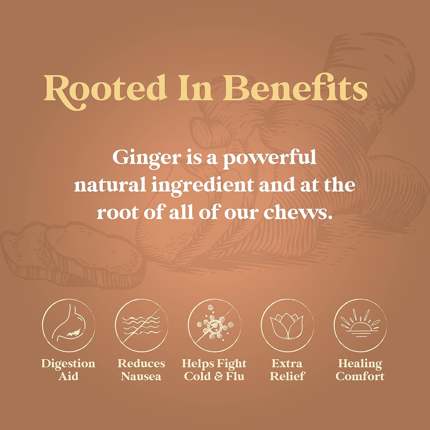 Premium Natural Chimes Peppermint Ginger Chews - 1 lb Bag (16 oz) Individually Wrapped Chewy Ginger Candy - Espot.com.au
