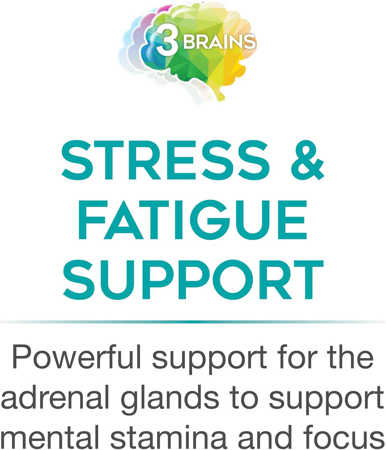 natural-factors-3-brains-serene-mind-adaptogenic-blend-120-capsules---stress-relief-mental-focus-dietary-supplement-for-vegetarians-6
