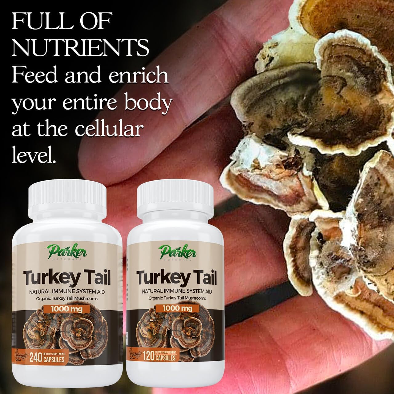 organic-turkey-tail-mushroom-capsules---immune-system-support-supplement---1000mg-premium-blend---120-capsules-by-parker-naturals-4