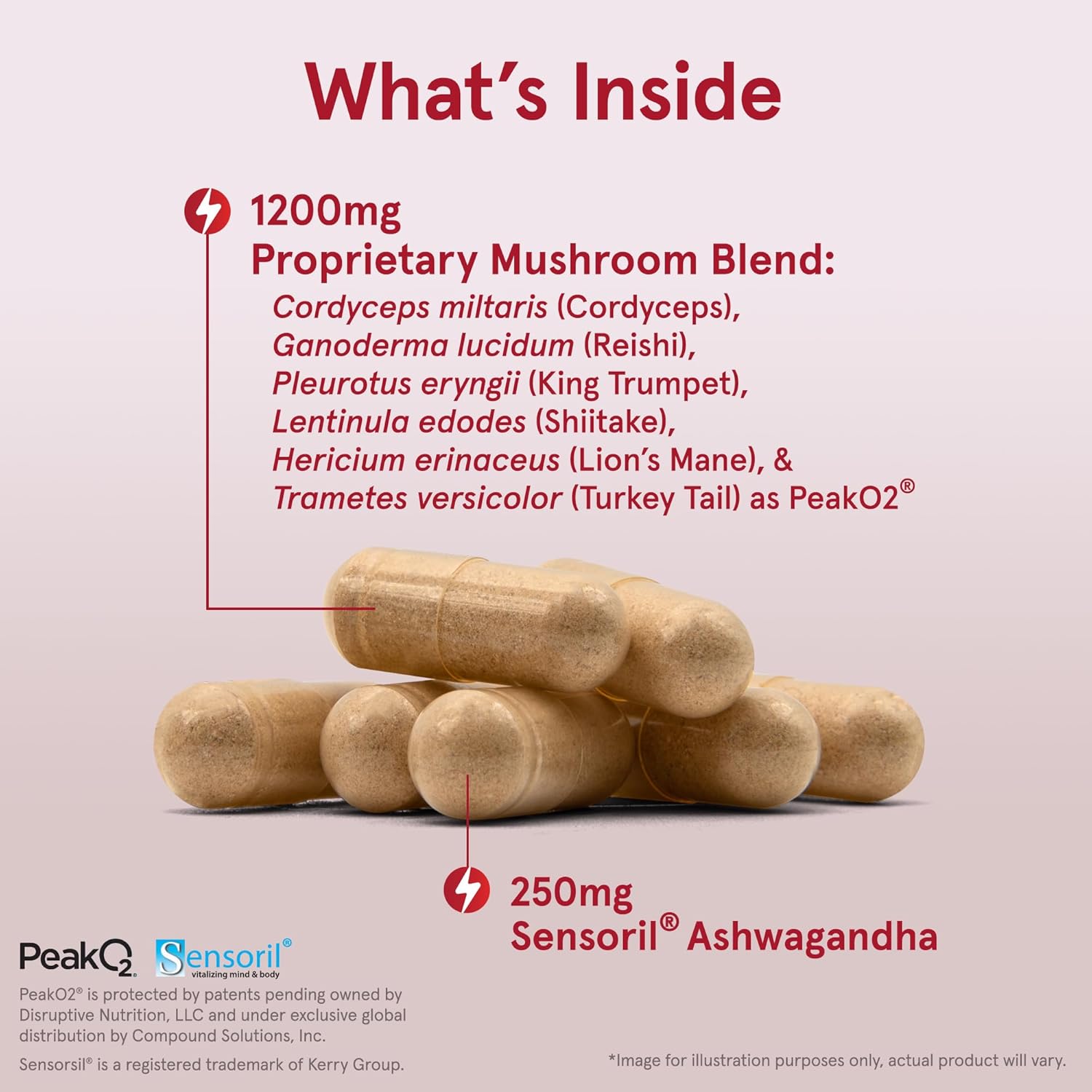 energy-optimizer-dietary-supplement-with-mushrooms-ashwagandha---90-veggie-capsules-2