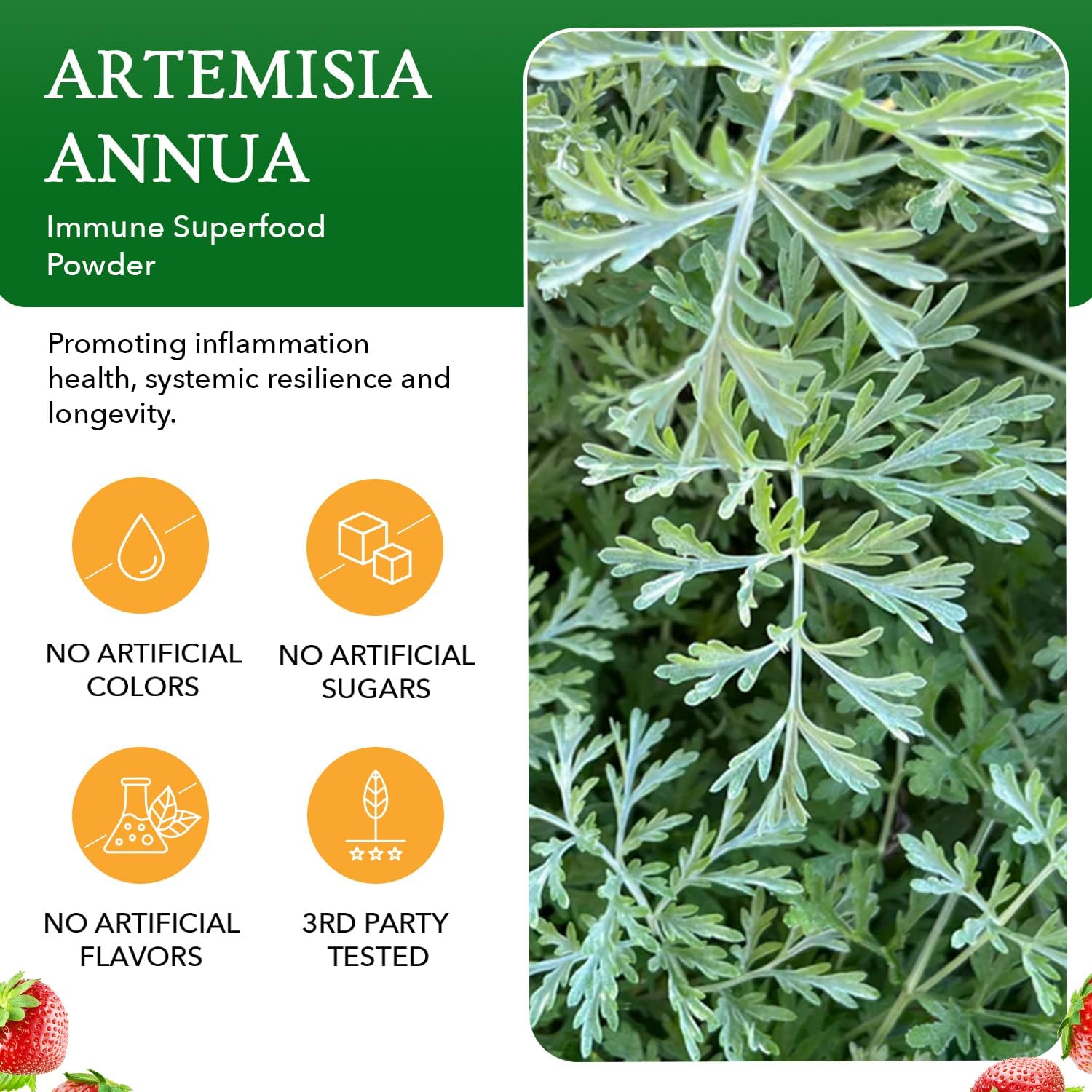 artemisia-annua-immune-powder---supports-brain-gut-immune-health---sweet-wormwood-extract---30-servings---85-oz-6