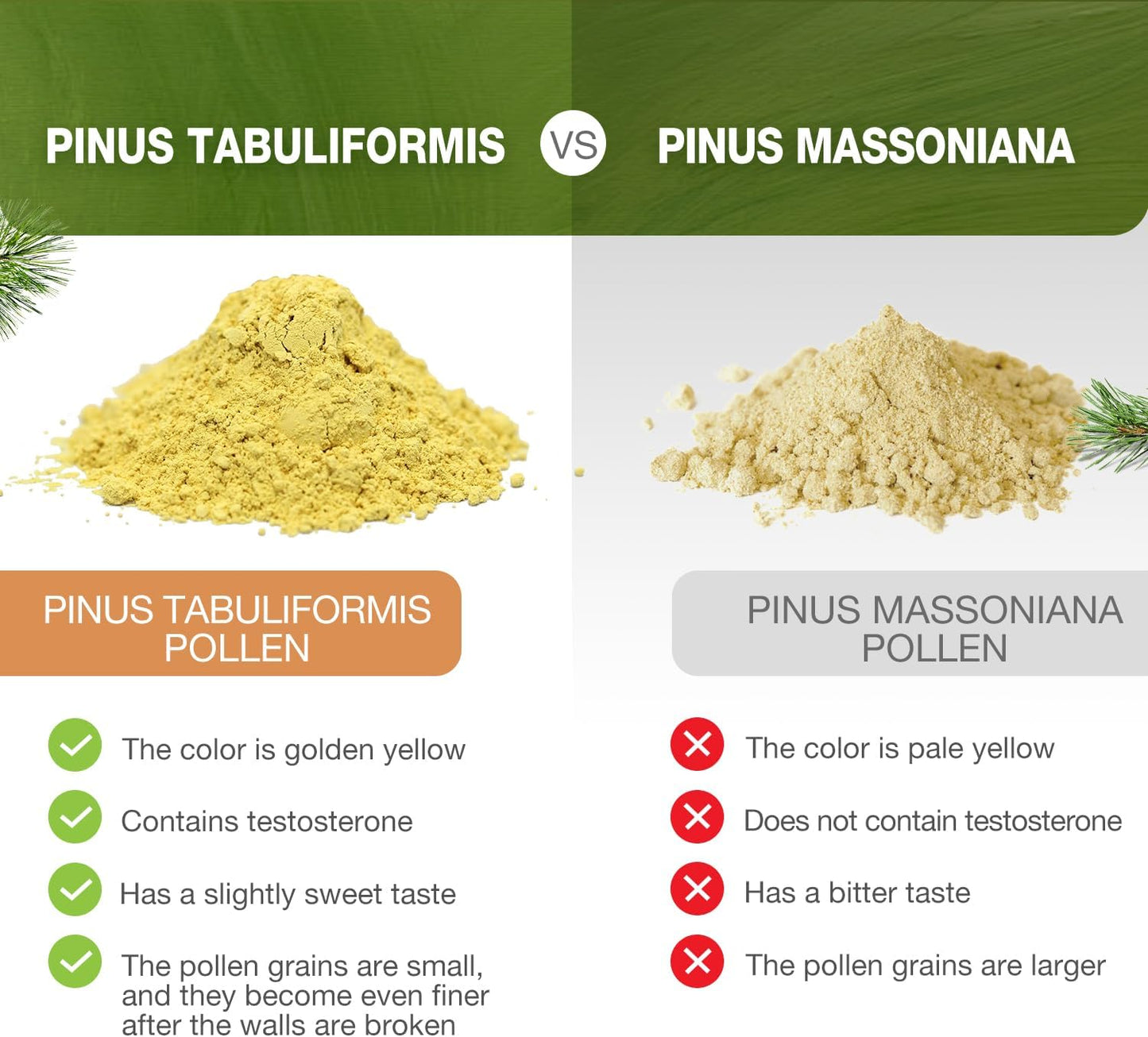 6-oz-pine-pollen-powder---wild-harvested-pinus-tabuliformis-99-cracked-cell-wall---eco-taste-6