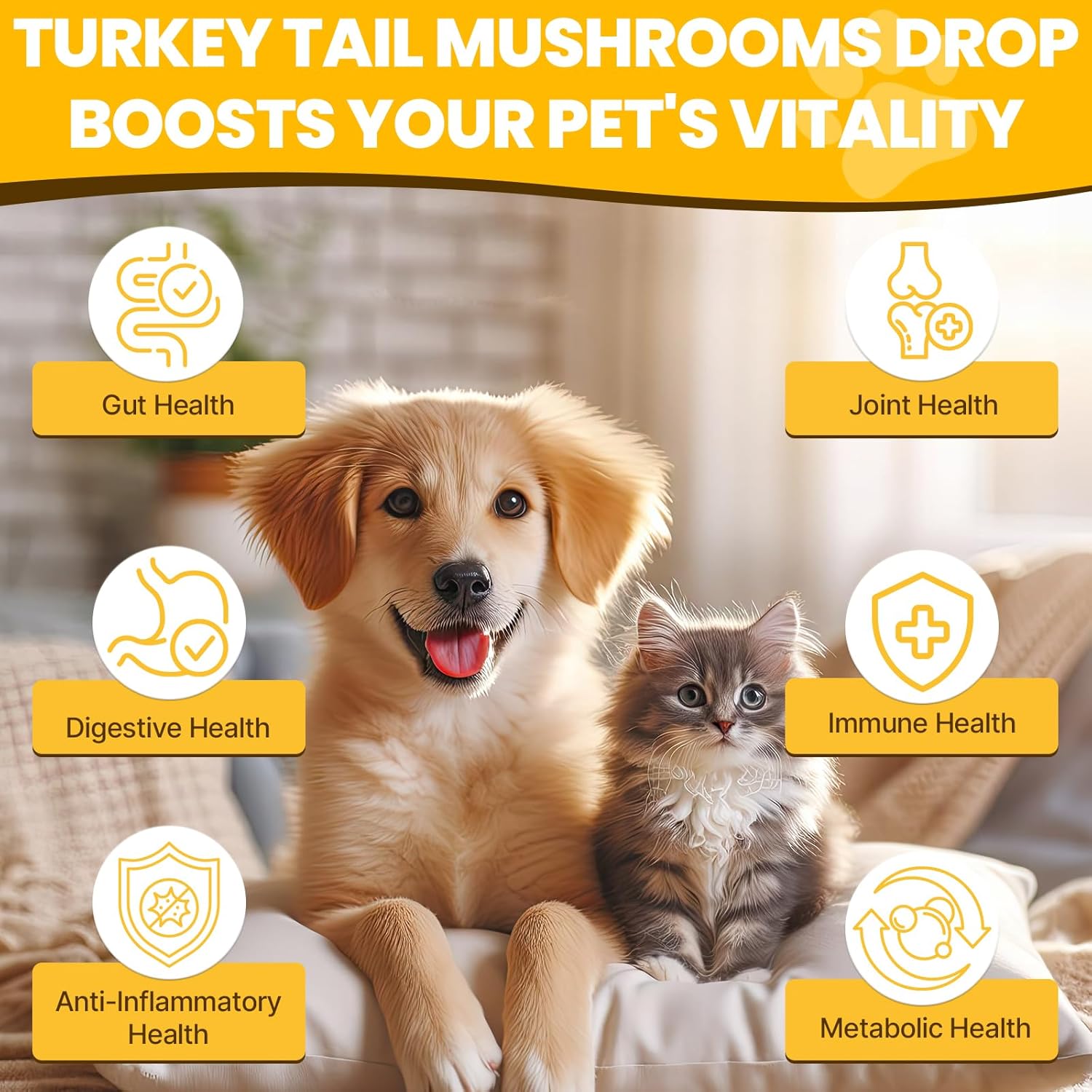 900ml-jazytiko-turkey-tail-mushroom-pet-drop-with-turmeric-probiotic---immune-digestive-support-joint-health-energy-boost---vet-formulated-5x-mushroom-blend-faster-absorption-3