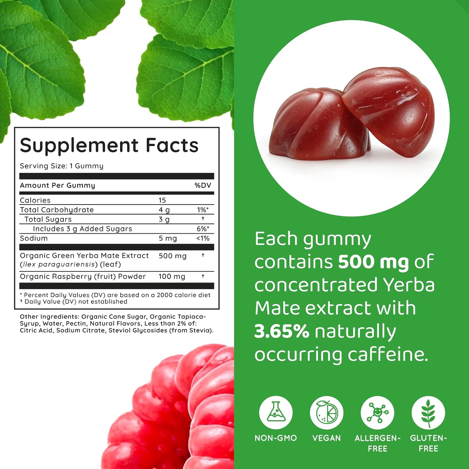 vegan-yerba-mate-gummies-for-energy-focus-immunity-cardio-health---raspberry-flavor---non-gmo-gluten-free---30-gummies-2