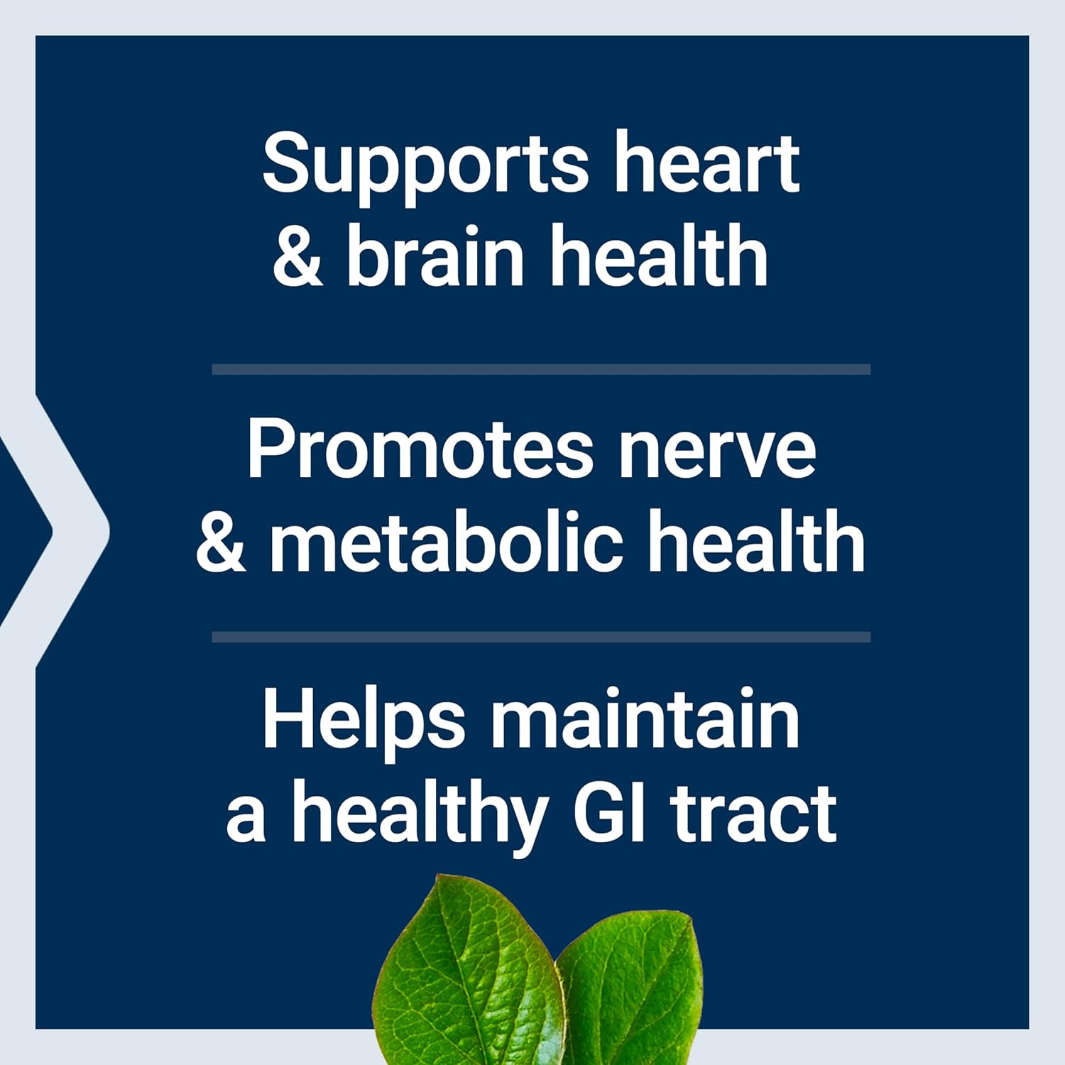 bioactive-folate-vitamin-b12-capsules-for-heart-brain-gi-tract-health---non-gmo-gluten-free-vegetarian---90-count-3