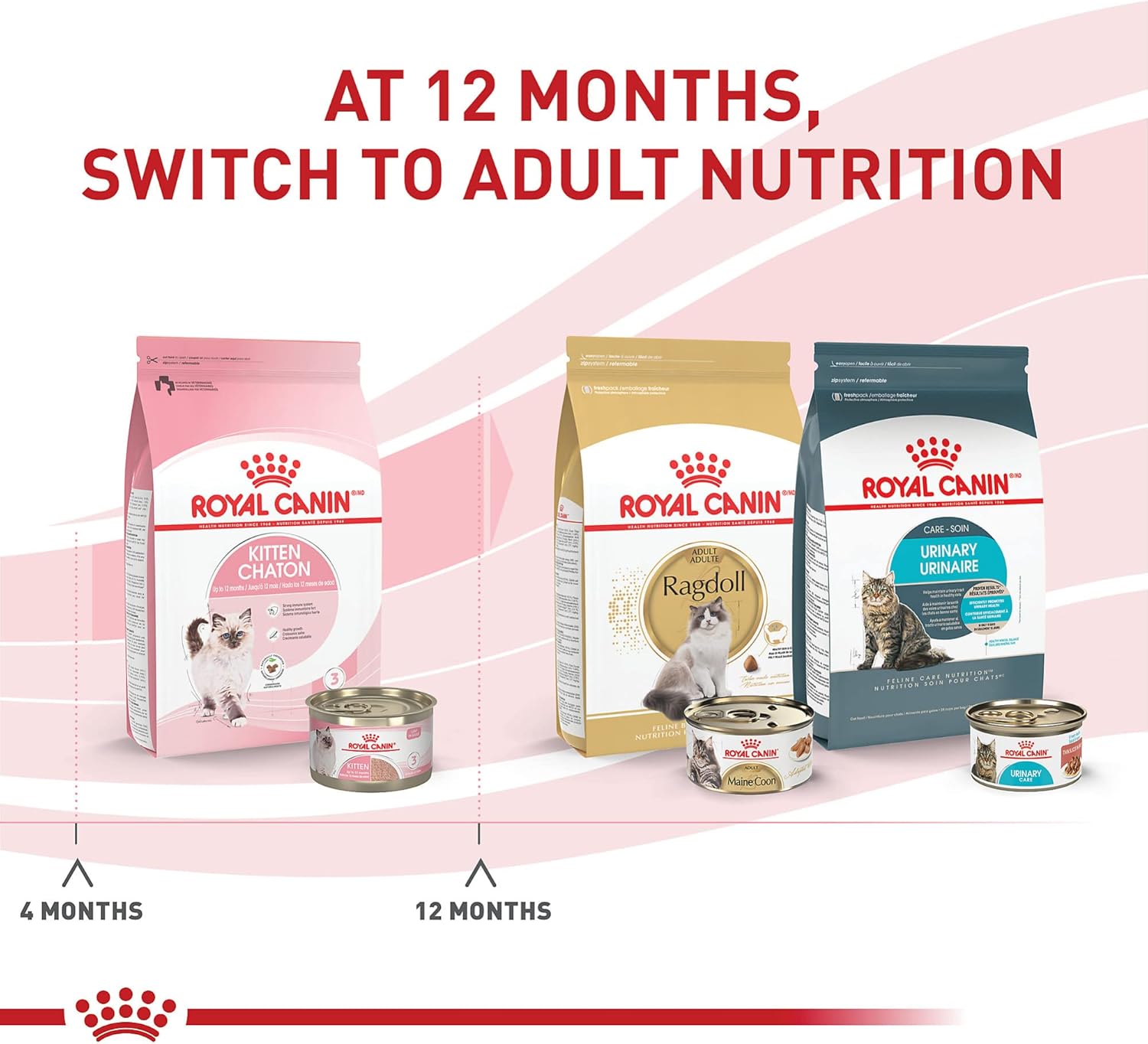 royal-canin-kitten-loaf-in-sauce-canned-cat-food---24-pack-51-oz-per-can-2